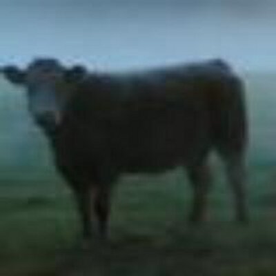 Profile Picture of Toby Allen (@toflidium) on Twitter