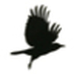 Profile Picture of Nick Jordan (@logomomo) on Flickr