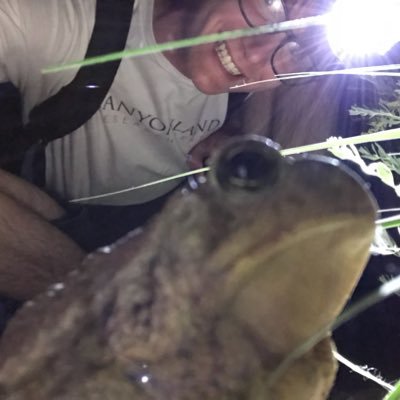 Profile Picture of Adam Siefker (@AdamSiefker) on Twitter