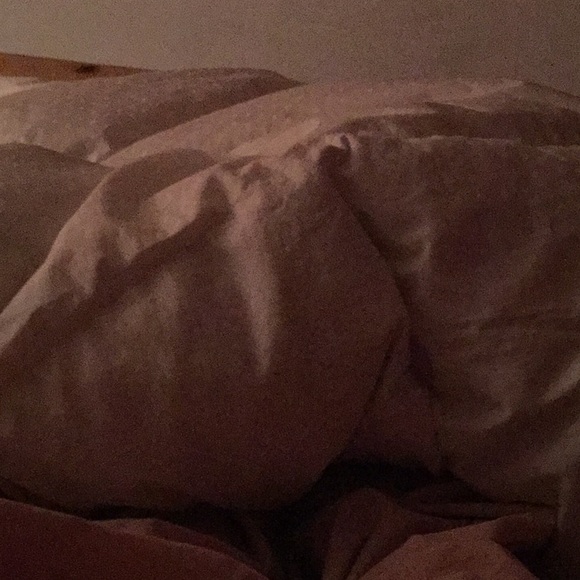 Profile Picture of Milica Schiavio (@posh18230) on Poshmark