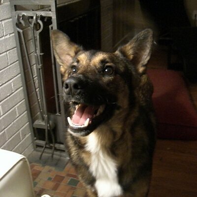 Profile Picture of Mike Jou (@MikeJou) on Twitter