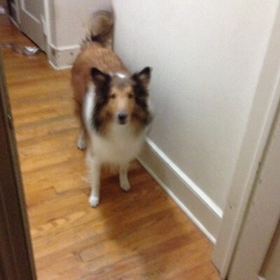 Profile Picture of Stephen Alba (@stephen8alba) on Twitter