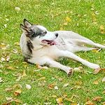 Profile Picture of Tyler Pittman (@tylerpittman) on Instagram