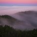 Profile Picture of Tim Robert (@dirktim317) on Pinterest