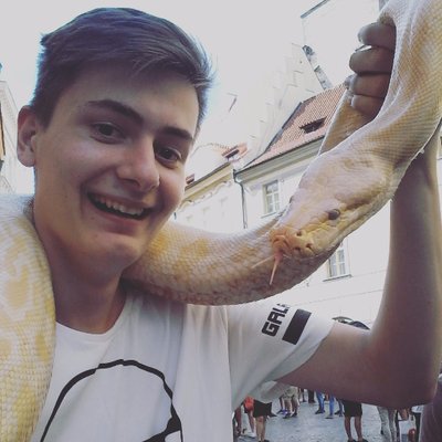 Profile Picture of Ivan Kraljević (@IvanKraljevicic) on Twitter