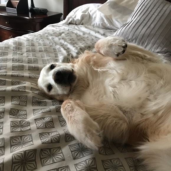 Profile Picture of Chelsea Gierczak (@chelseagierczak) on Poshmark