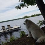 Profile Picture of Courtney Keefe (@courtney.keefe.64) on Instagram