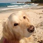 Profile Picture of Alice Simmons (@alice.simmons) on Instagram