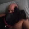 Profile Picture of Brian Potter (@brianpotter2) on Tiktok
