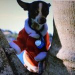 Scott Granger - Instagram Profile Picture of Scott Granger (@granger_51) on Instagram