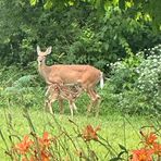 Ivan Dennison - Facebook Profile Picture of Ivan Dennison (@Ivan-Dennison) on Facebook