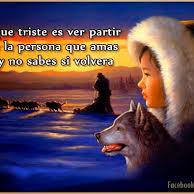 Profile Picture of Luis Alcivar (@luisalcivar1000) on Twitter