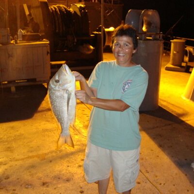 Profile Picture of Laura L Reed (@seagirllaura) on Twitter