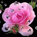 Profile Picture of Flora Raquel Peralta (@floraraquelperalta) on Instagram