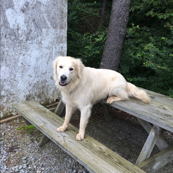 Profile Picture of Taylor Chaney (@taylorchaney) on Poshmark