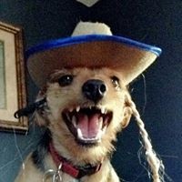 Profile Picture of Kyle Shuey (@kyle-shuey-1) on Quora