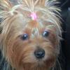 Profile Picture of Carmen Emmanuelli (@@carmenemmanuelli) on Tiktok
