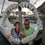 Profile Picture of Michael Caroselli (@mikeyschmoov) on Instagram