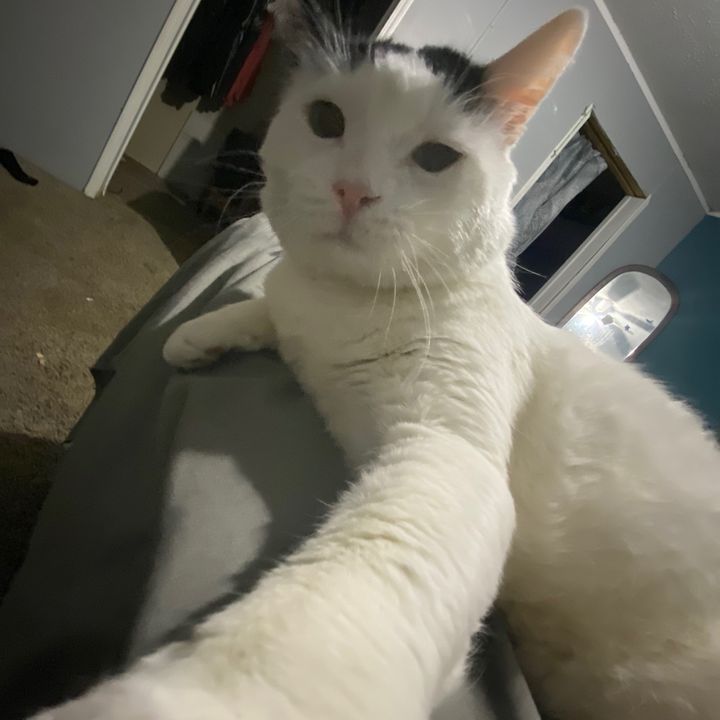Profile Picture of Matthew Potts (@matthewpotts01) on Tiktok