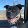 Profile Picture of user8047963130247 (@@dockterjohn) on Tiktok