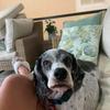 Profile Picture of angelaryding1 (@angelaryding1) on Tiktok