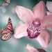 Profile Picture of Meredith Daniel (@meredithdaniel3) on Pinterest