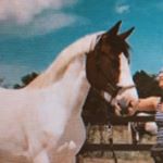 Profile Picture of 🌈ⒶⓁⒺⓍ ⓁⓊⓃⒶ🌈 (@luna.bld_) on Instagram