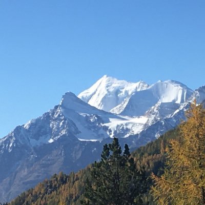 Profile Picture of André R. Ruff (@a_r_ruff) on Twitter