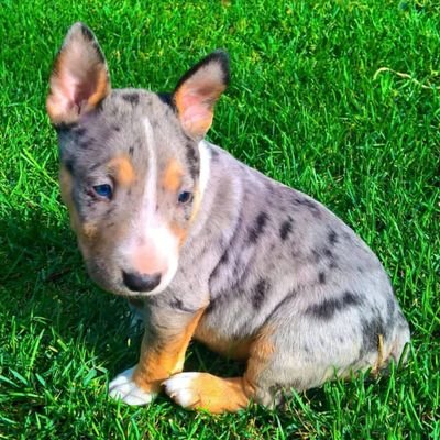 Profile Picture of Oaks (@Tom57745245) on Twitter