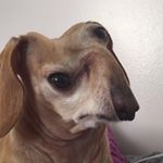 Profile Picture of cassie bradford (@twink_smells) on Instagram