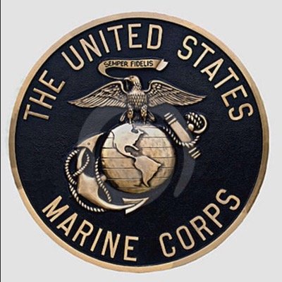 Profile Picture of Jordan Cripps (@Marines_133) on Twitter