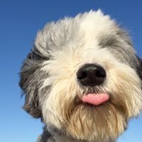 Profile Picture of Nix Cuthell (@nix-cuthell) on Quora