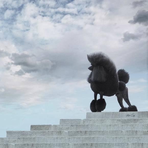 Profile Picture of Sarah Perchick (@sesarah) on Poshmark