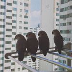 Profile Picture of Jae Jin  Kim (@jaejin.kim.710) on Instagram