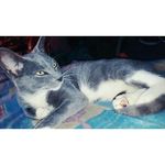 Thomas Lujan - Instagram Profile Picture of Thomas Lujan (@thomas_lujanparati) on Instagram