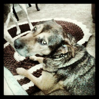 Profile Picture of Brian T Howard (@BthGraven) on Twitter