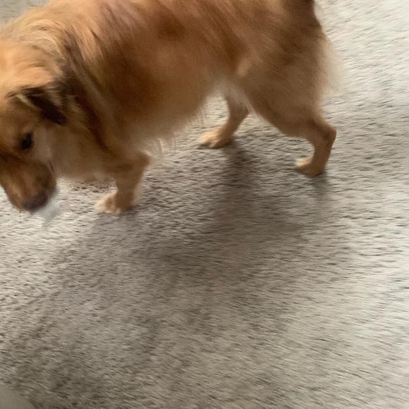 Profile Picture of Haley Mahkovic (@hmahkovic) on Poshmark