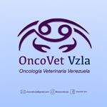 Profile Picture of M.V. Rebecca Reyes Cimbalas (@oncovetvzla) on Instagram