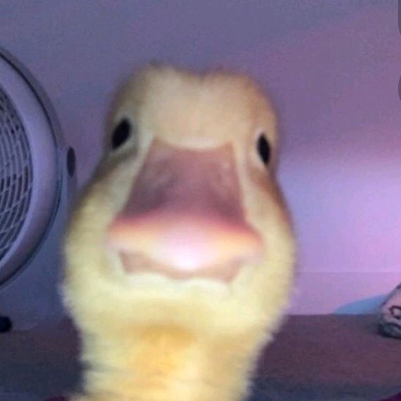 Profile Picture of Kevin Neathery (@kjneathery2023) on Tiktok
