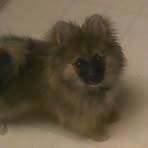 Profile Picture of Alvin Fenstermacher (@alvin.fenstermacher) on Facebook