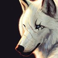 Profile Picture of Emil_cat_dickon Twitter