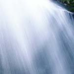 Profile Picture of Kevin_Raynor (@kevin_raynory) on Instagram