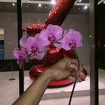 Profile Picture of David L. Johnson (@david_johnso) on Instagram