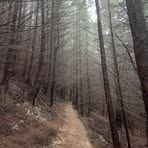 Profile Picture of Matthew Butchard (@Matthew-Butchard) on Facebook