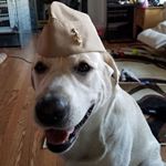 Profile Picture of Kenneth Crane (@kenneth.j.crane) on Instagram