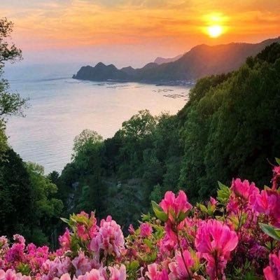 Profile Picture of Mari Rivera (@MariRiveMart) on Twitter