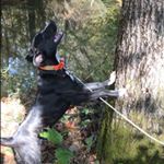 Profile Picture of Jeff Shockley (@jshockley123) on Instagram