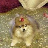 Profile Picture of Christine Proudlock (@proudlock11184) on Pinterest