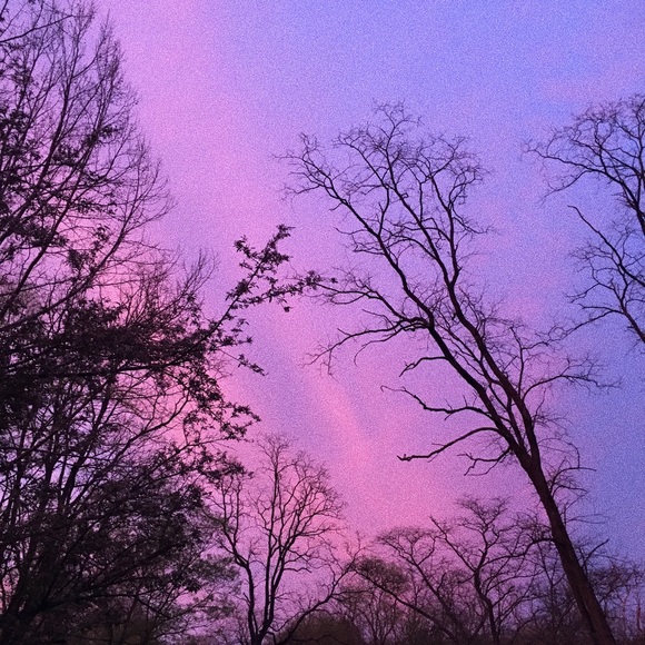 Profile Picture of Grace Recces (@grace6895) on Poshmark