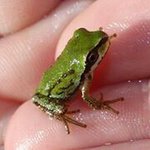 Chris Pressler - Instagram Profile Picture of Chris Pressler (@ckpressler) on Instagram